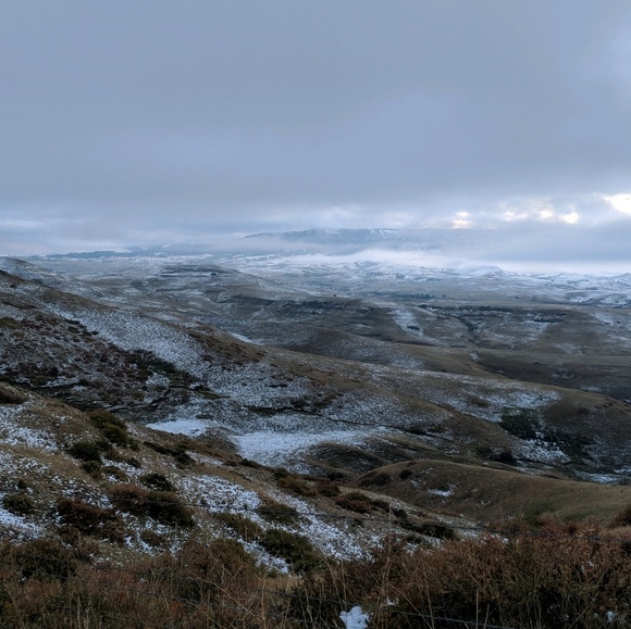 Meet your Posher, Melanie - Picture 1 of 1